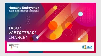 Mit breiter Expertise: Interdisziplinäre Konferenz zur Embryonenforschung