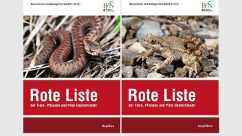 Neue Rote Listen: Amphibien und Reptilien in Deutschland bestandsgefährdet