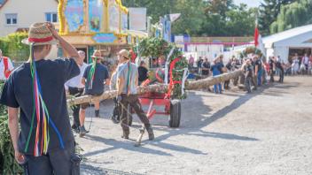 Maibaum-Zug im ländlichen Raum