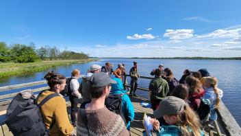 Besuchergruppe steht an einem Moorgebiet