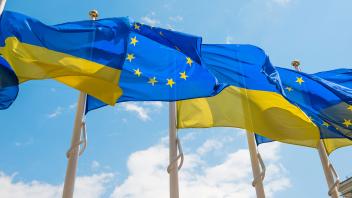 Eine Reihe von Fahnenmasten, an denen die Flaggen der Europäischen Union und der Ukraine vor dem Hintergrund eines blauen Himmels im Wind wehen