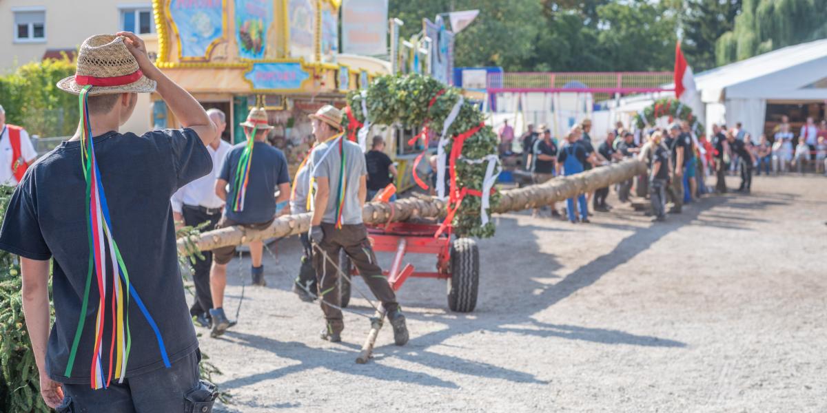 Maibaum-Zug im ländlichen Raum