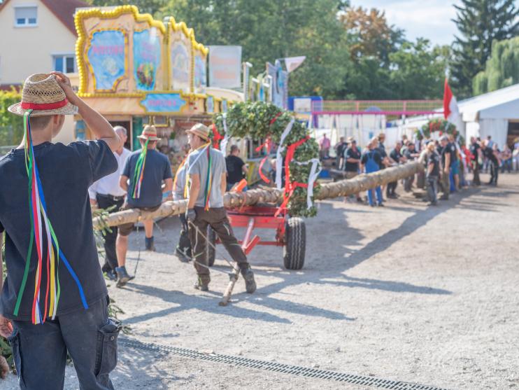 Maibaum-Zug im ländlichen Raum