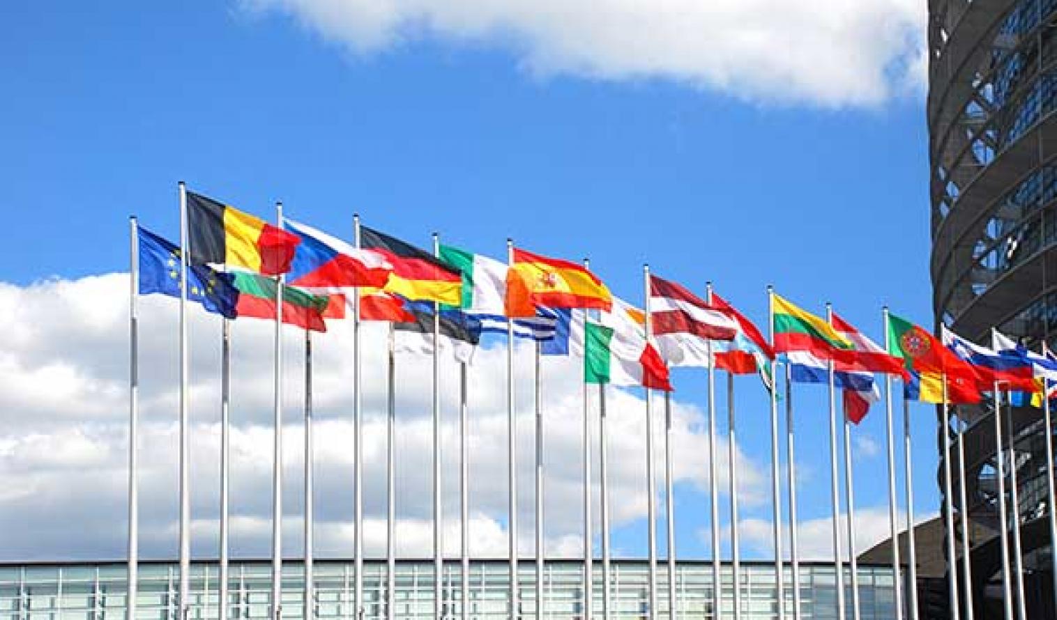 Flaggen der EU-Mitgliedsländer