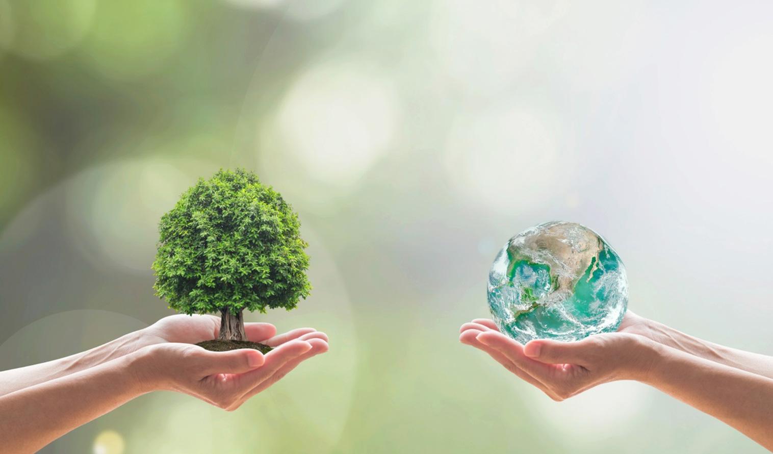 Zwei Hände halten symbolisch einen Modellbaum und den Planeten Erde gegenüber.