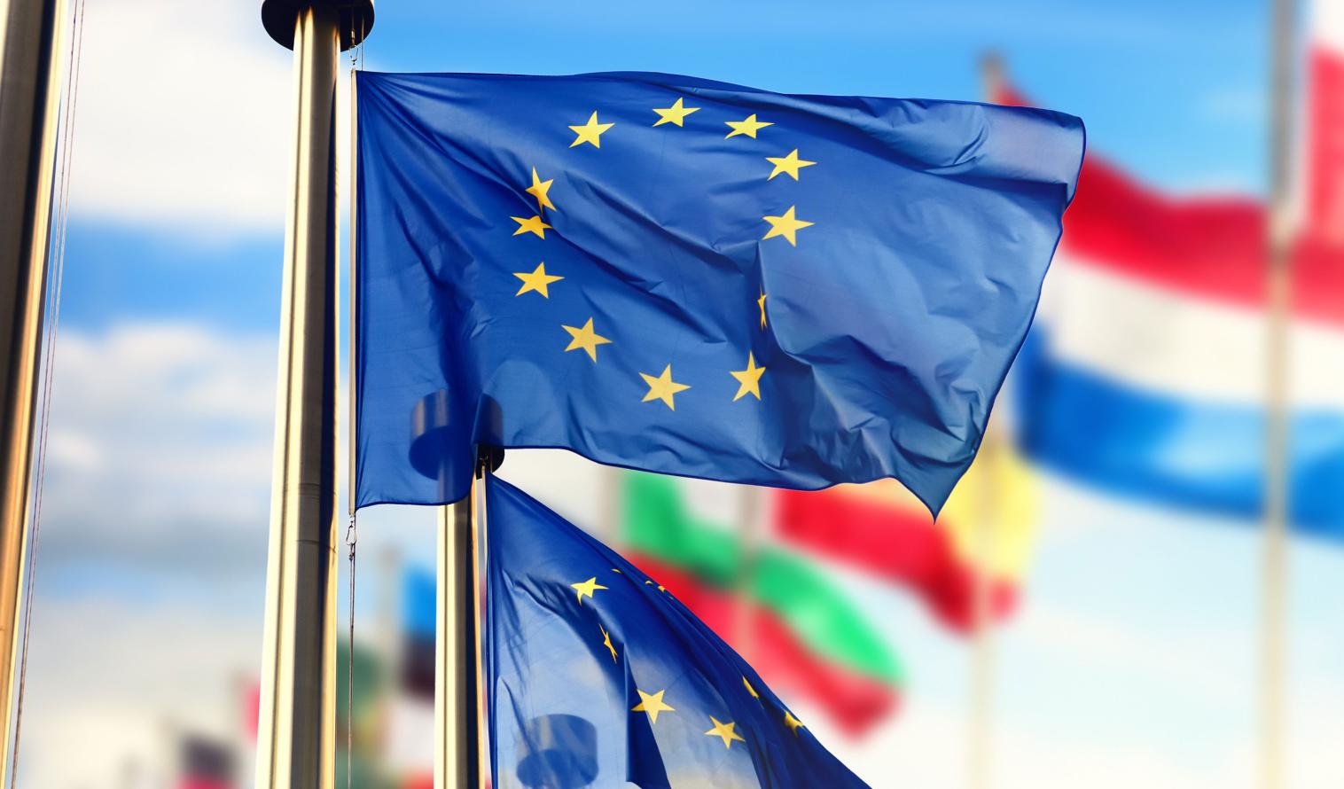 EU-Flaggen wehen vor blauem Himmel. Weitere Flaggen sind im Hintergrund zu sehen.