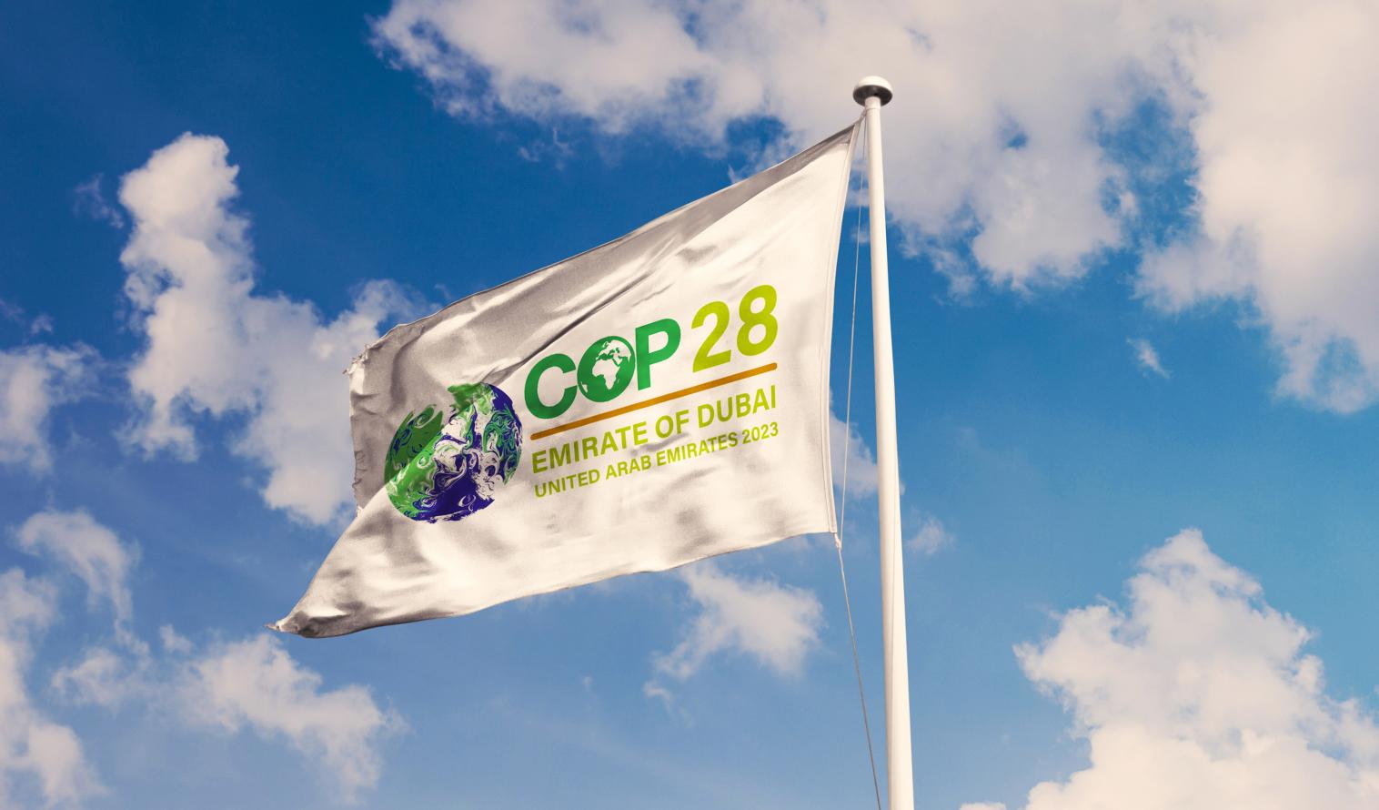 Fahne COP28