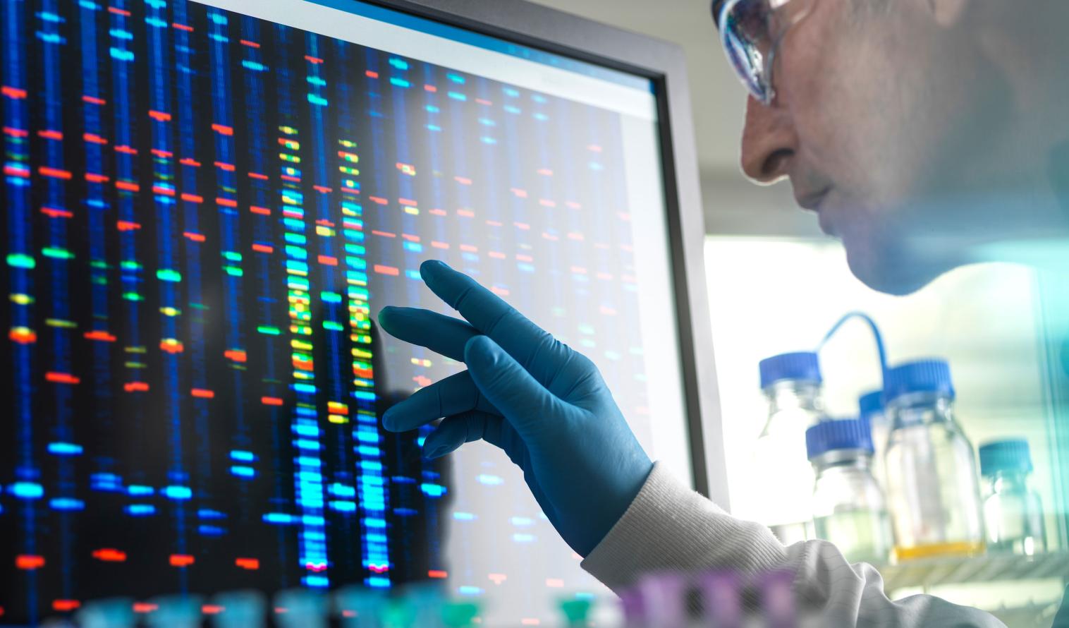 Wissenschaftler betrachtet DNA-Probenergebnisse auf dem Bildschirm