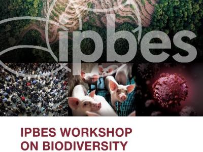IPBES Workshop on Biodiversity and Pandemics-Poster