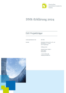 DNK Erklärung DLR Projektträger 2024