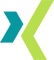xing Logo